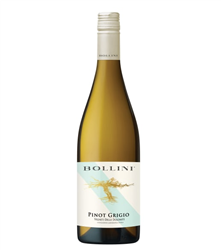Bollini 2024 Trentino Italy Pinot Grigio