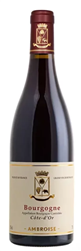 Maison Ambroise 2021 Cote d'Or Bourgogne Rouge