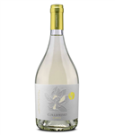 Collefrisio 2025 Magnolia Terre di Chieti Bianco